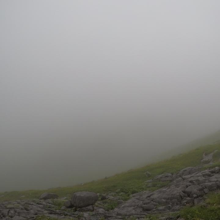 Aussicht in den Nebel