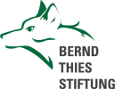 Bernd Thies-Stftung