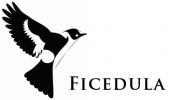 Ficedula