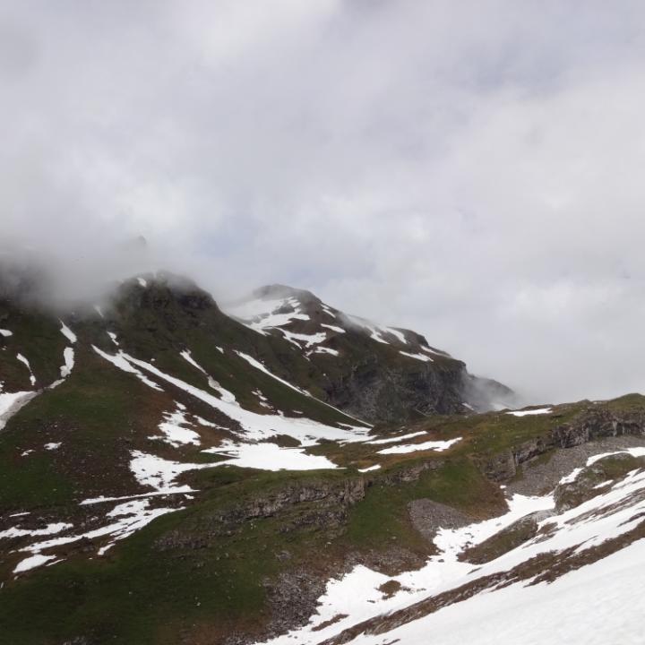 Nebel und Regen über dem Hengliboden! Unsere beiden Bartgeier haben das schlechte Wetter geduldig ausgesessen!