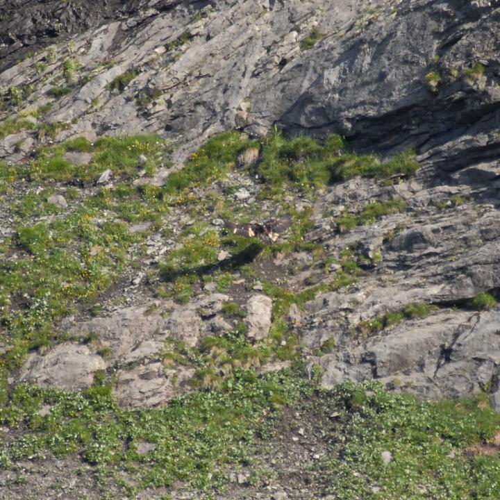 Luzerna kurz vor ihrer ersten Landung