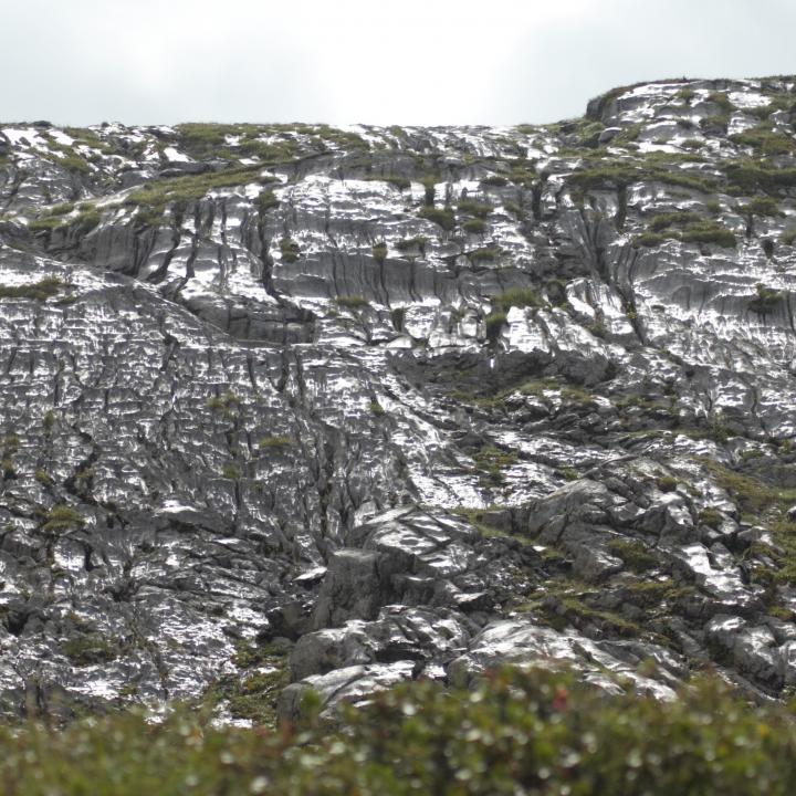 Das Karstgestein hinter der Beobachtungsstation glänzt silbrig.