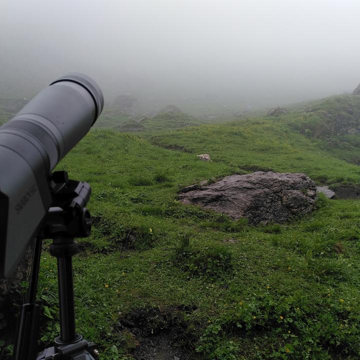 Oft mussten wir heute durch den Nebel Bartgeier und andere Wildtiere beobachten.