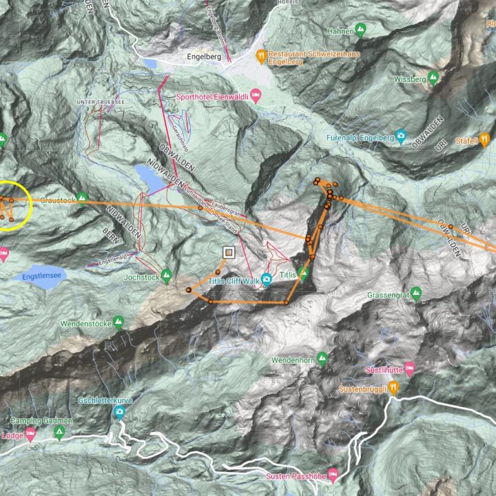 Karte mit den GPS-Lokalisationen von Paradiso seit Gestern Mittag. Im gelben Kreis die Auswilderungsnische