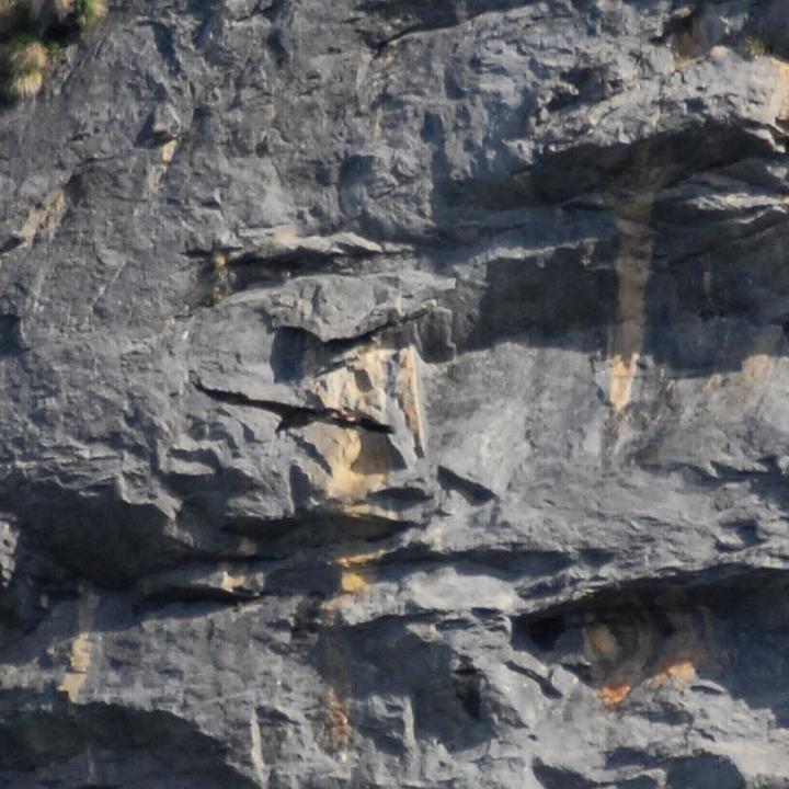 Luzerna während ihrem ersten kurzen Flug