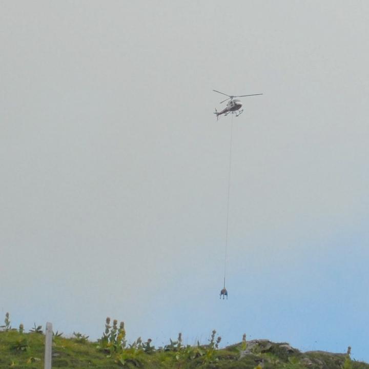 Der Helikopter fliegt mit der geretteten Kuh davon.