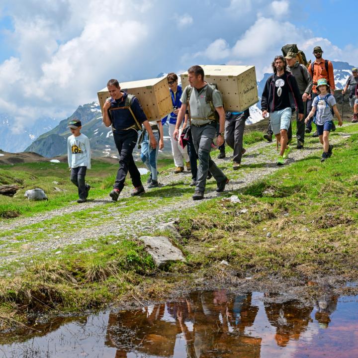 Auf dem Weg zur Auswilderungnische (c)weyrichfoto.ch