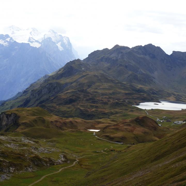 Auswilderungsstandort Melchsee-Frutt