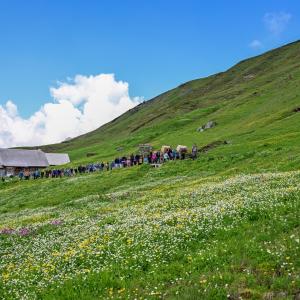 Bei bestem Wetter unterwegs Richtung Auswilderungsnische (c)weyrichfotto.ch