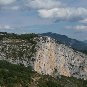 Brutfels von Gänsegeiern in der Franzöischen Verdon Schlucht (c) Franziska Lörcher