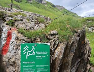 Infoschild zum Jagdbanngebiet Huetstock beim Infostand