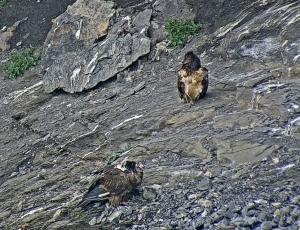 Paradiso und Dromie sitzen in der Nische beim Futter